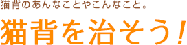 猫背のあんなことやこんなこと　猫背を治そう!